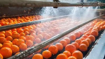 水果罐頭廠廢水高效處理方案