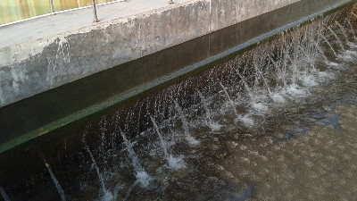 竹制品廢水處理方法