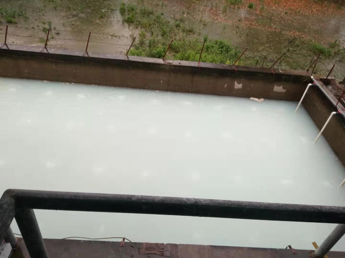 造紙廢水處理